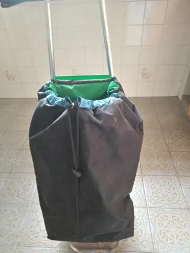 Carrinho de mercado e sacolao