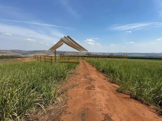 Fazenda com 470 alqueires na região de Avaré-SP
