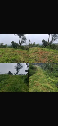 Lotes rurais na serra entre Corupá e São Bento do Sul SC