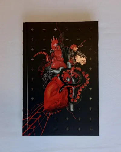 Livro Coração Satânico - Darkside Books