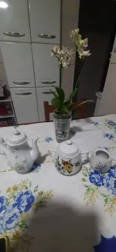 Bules de porcelana
