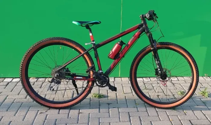 Bile 29 first 2x9 17