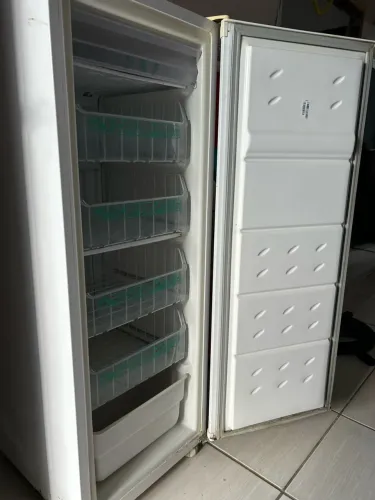 Freezer vertical