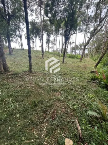 Chácara para Venda em Campo Alegre, Bateias de Baixo