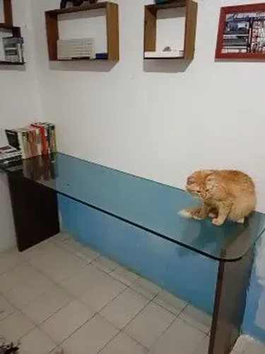 Mesa de vidro temperado para escritório e afins 