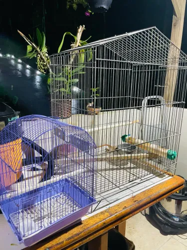 Vendo 2 gaiolas uma grande  200 reais
