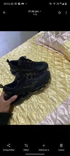 Mizuno prophecy 13