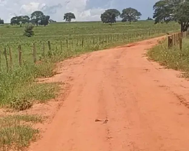 Aceita Permuta - PECUÁRIA - Área Rural 23 Alqueires - Presidente Venceslau - SP