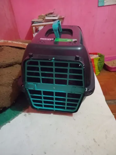 Caixa de Transporte Animal tratar com Fernanda ou Vanderlei zap *