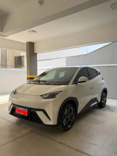BYD Dolphin Mini (Elétrico) 2027