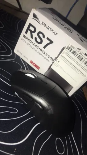 Mouse rs7