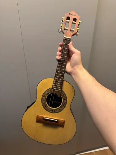 Cavaquinho Giannini Raiz