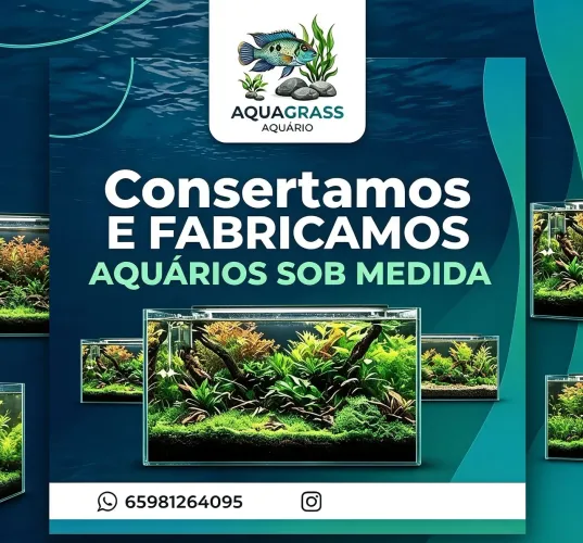 Reformas de aquários para peixes