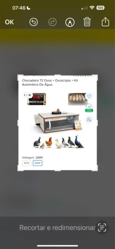 Chocadeira se o nova Eclopinto para 72 pintos