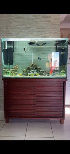 AQUARIO ZERO COMPLETO