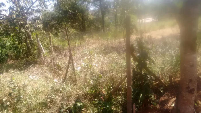 Lote, cidade Mateu leme