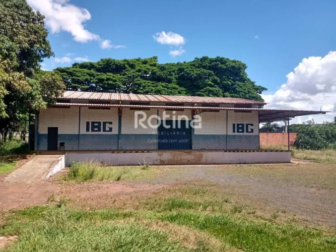 Galpão para alugar, Distrito Industrial - Uberlândia/MG - Rotina Imobiliária