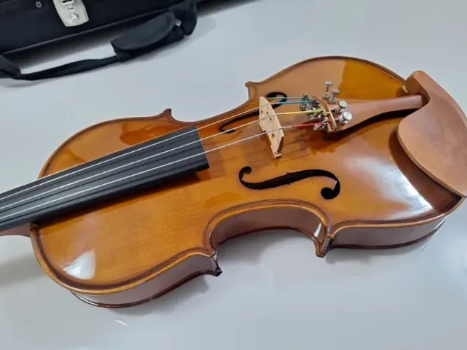 Violino Eagle Ve441 ajustado por luthier + muitos acessórios!