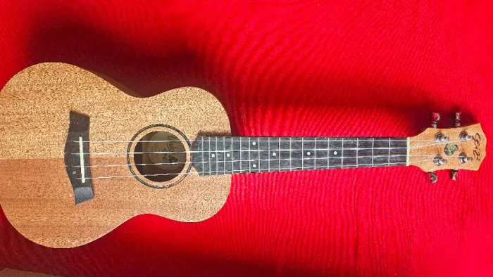 Ukulele Seizi concert