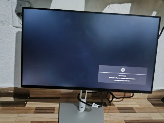 monitor 