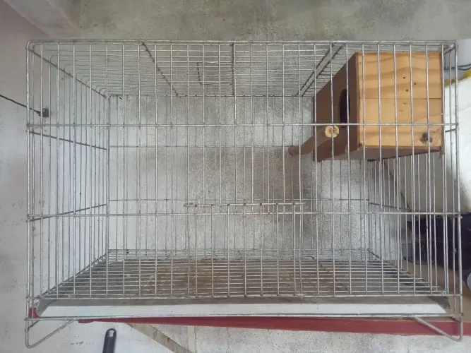 Vendo essa Gaiola de arrame