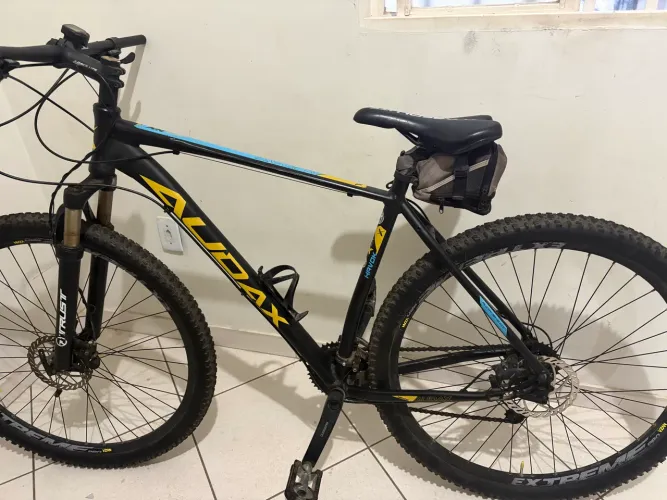 Bicicleta Audax