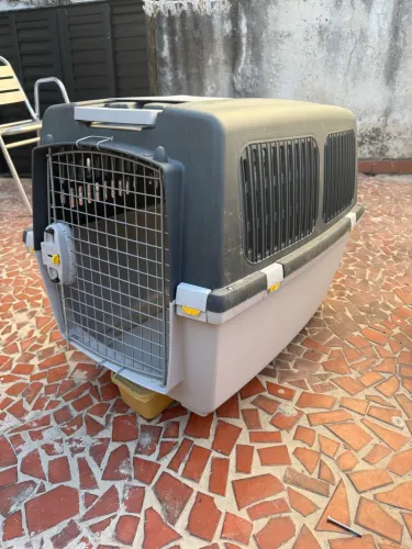 CAIXA TRANSPORTE CASINHA PET 5N-G