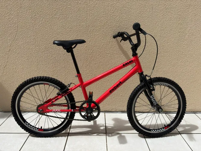Bicicleta Caloi Expert aro 20