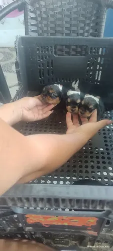 Presente para o dia das crianças 