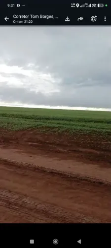 Fazenda de arrendamento 10.500m em Itiquira MT.