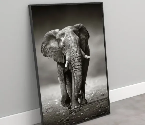 Quadro para sala
