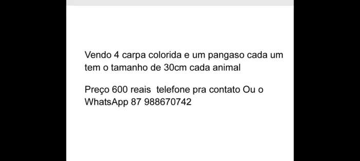 Animais