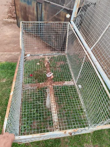 Lixeira de condomínio de metal. 
