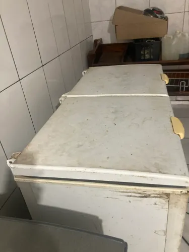Freezer Horizontal 2 tampa gelo par