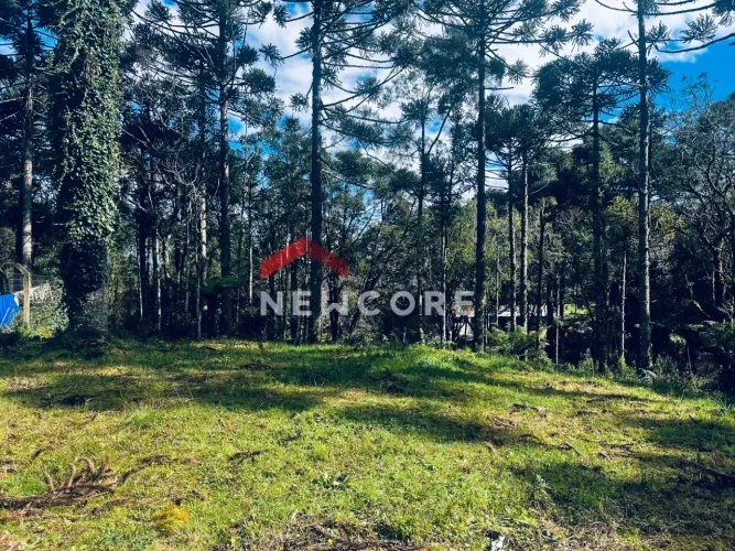 Lote em Rua Dia Manacas - Serra Alta - São Francisco de Paula/RS
