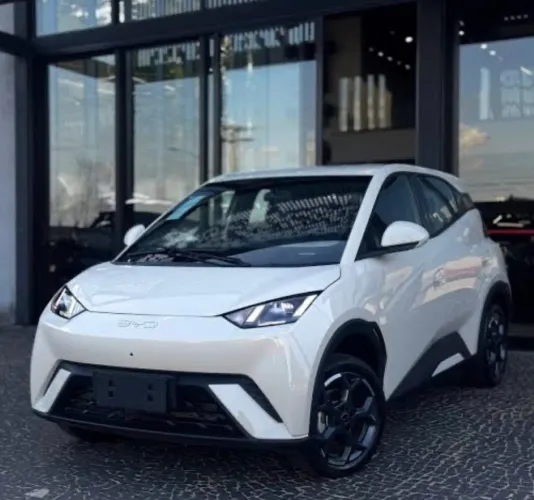 Alugue seu carro elétrico para rodar