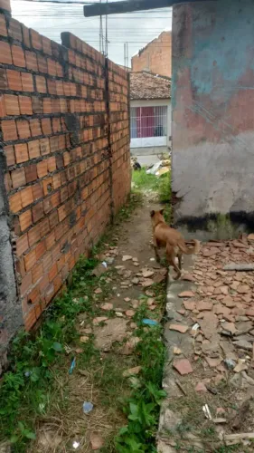 Vendo ou troco uma casa no bairro Porto Dantas (loteamento Coqueiral)