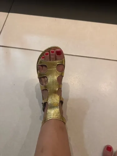 Sandália rasteirinha dourada, nova, nunca usada TAM 36
