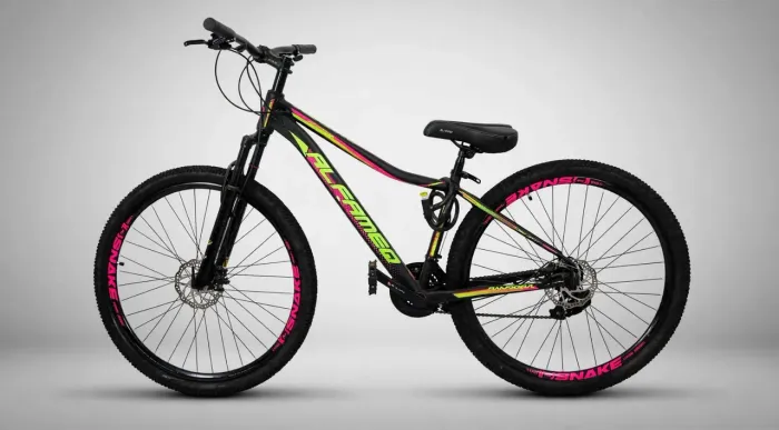 Bicicleta