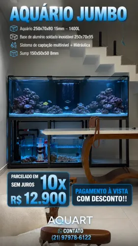 Aquário 250x70x80 cm em vidro 15mm - aproximadamente 1.400 litros
