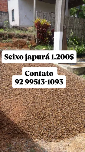 Seixo japurá 5 metros- carrada 1.200$