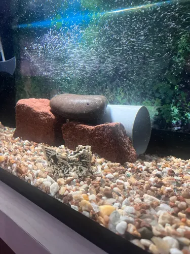 Vendo Aquário 