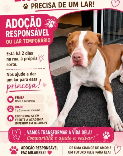 Doa-se essa princesa linda