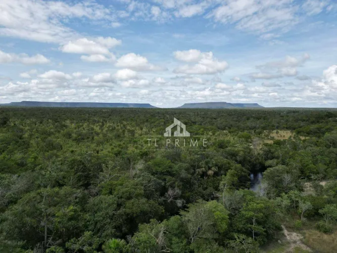 675 ha mateiros com doc em dia