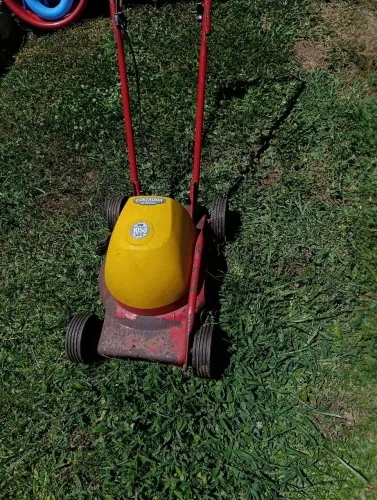 Máquina de cortar grama