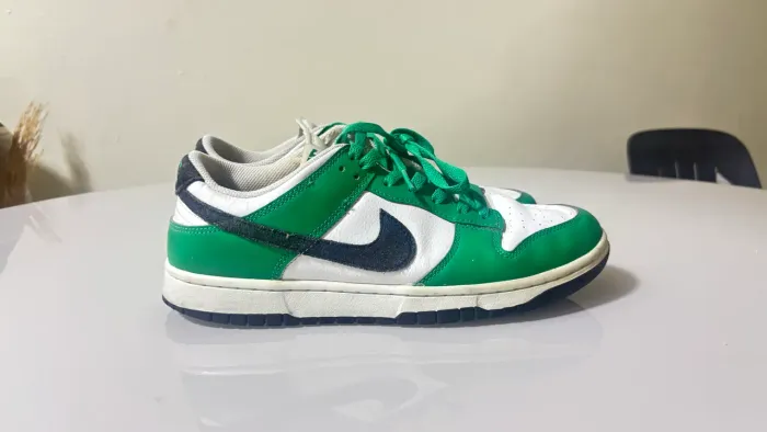 Tênis Nike Dunk