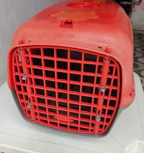 Caixa de Transporte para animais Plast Pet Nº 3