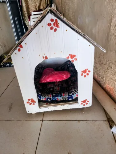 Casinha para pets