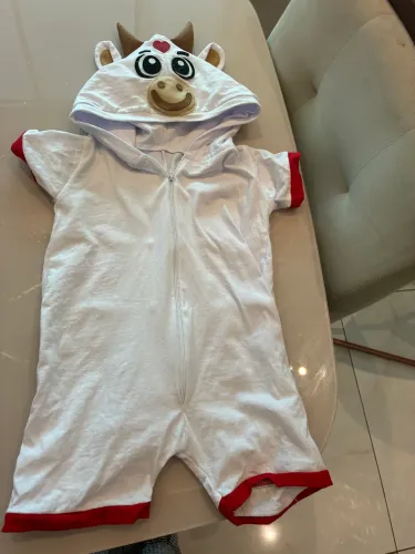 Fantasia boi garantido 1 ano