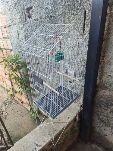 Gaiola Viveiro para Calopsita / Pássaros Mansas com Pé Suporte 